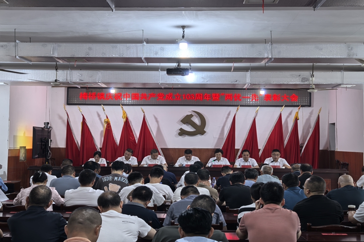 [梅桥镇]表彰先进 激励奋进