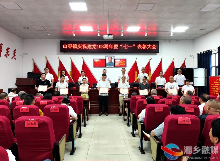 [山枣镇]表彰优秀树典型 专题党课强党性