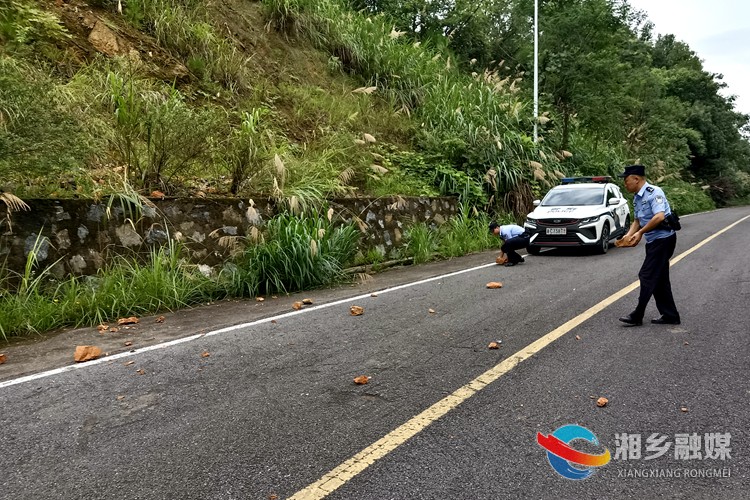 [公安局]水府派出所民辅警及时消除公路落石隐患