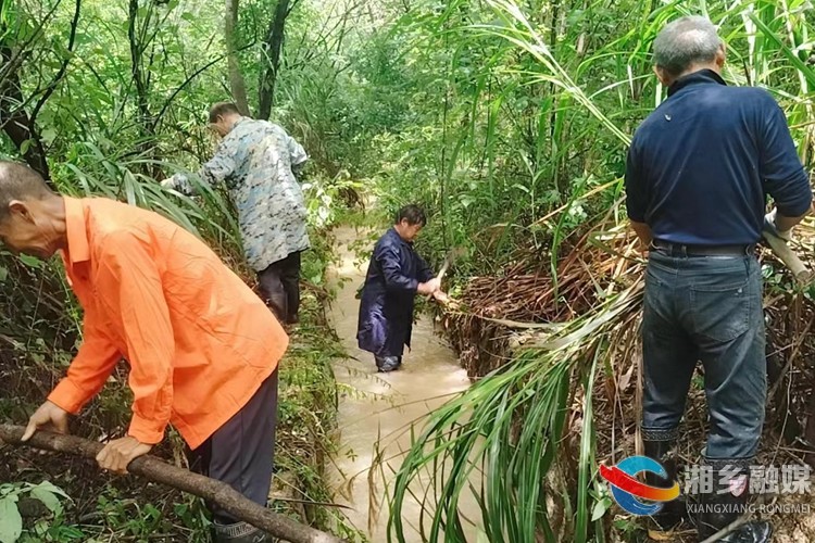 [泉塘镇]人大代表齐上阵 防汛救灾保民生
