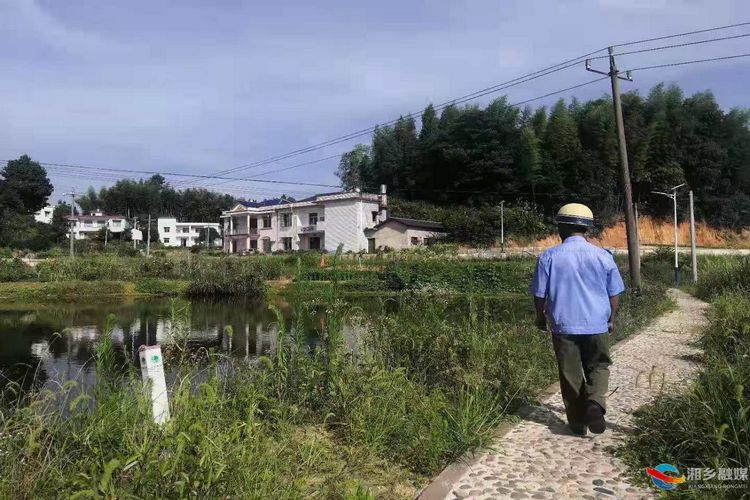 [白田镇]“五老”志愿者开展防溺水巡逻活动