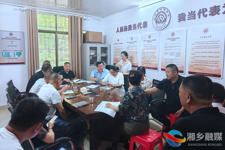 [金薮乡]数字赋能助力人大工作提质增效