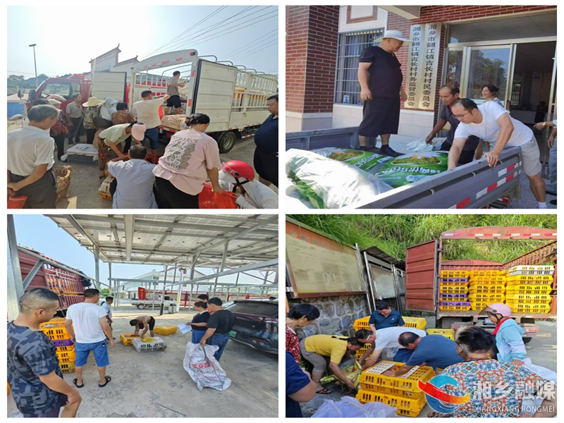 [翻江镇]产业帮扶促增收 乡村振兴见成效