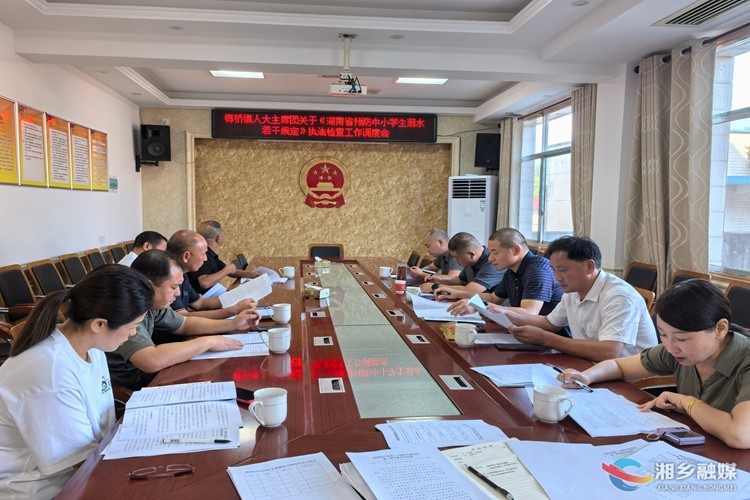 [梅桥镇]人大代表开展执法检查 用法治之力守护孩子“生命线”