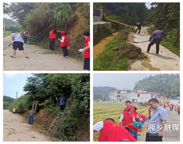 [月山镇]人居环境整治不停步 幸福底色更鲜亮
