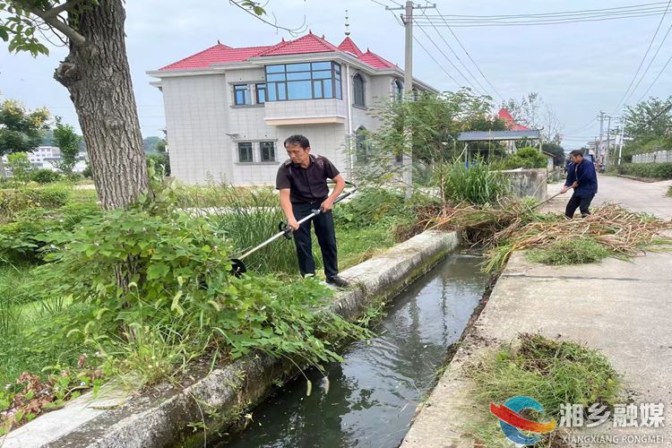 [东郊乡]清理水渠杂草 改善村庄环境