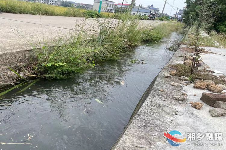 [东郊乡]清理水渠杂草 改善村庄环境