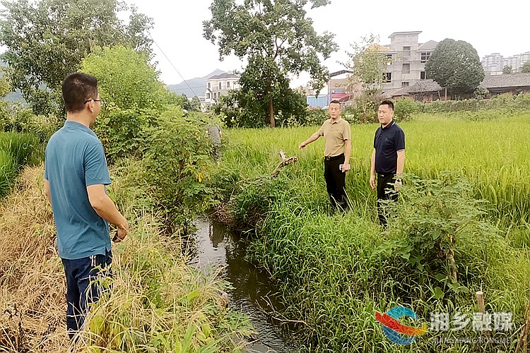 [东山街道]以督查促提升 助力人居环境整治