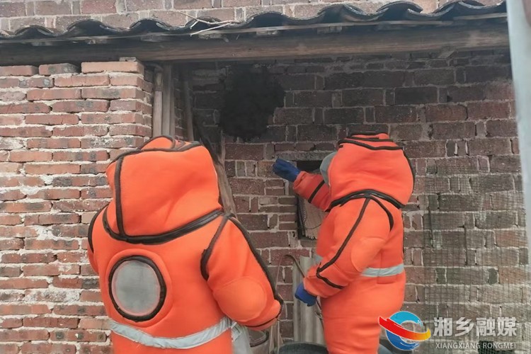 [虞唐镇]清除马蜂窝 守护居民安全