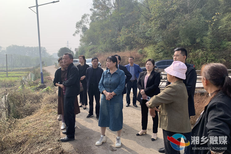 [东郊乡]代表进站听民声 实地调研察民情