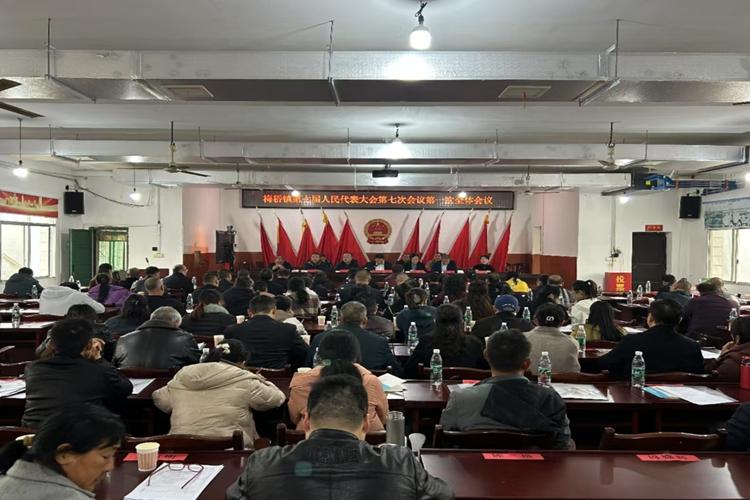 [梅桥镇]第七届人民代表大会第七次会议召开