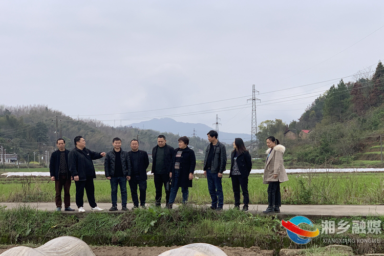 [虞唐镇]人大代表开展会前视察调研活动