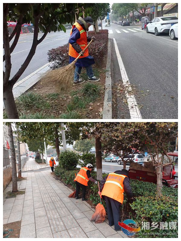 [城管局]清理绿化带垃圾 守护城市“绿色脉搏”