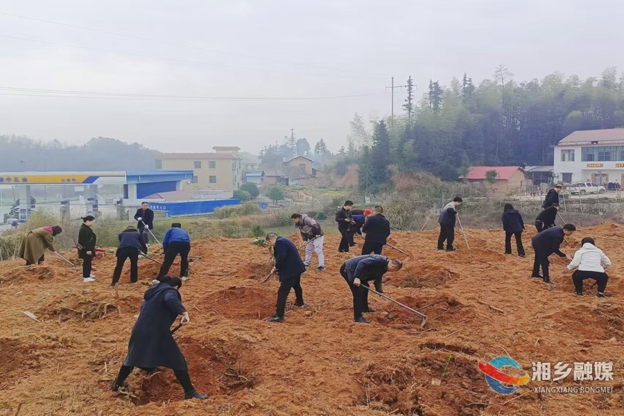 [潭市镇]不负好时光 植绿正当时