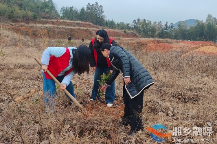 [金石镇]春光无限好  植树正当时