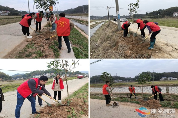 【我爱湘乡我的家】[梅桥镇]最是一年春好处 植树添绿正当时