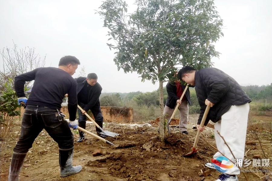 【我爱湘乡我的家】[民政局]植树增绿 美化养老环境