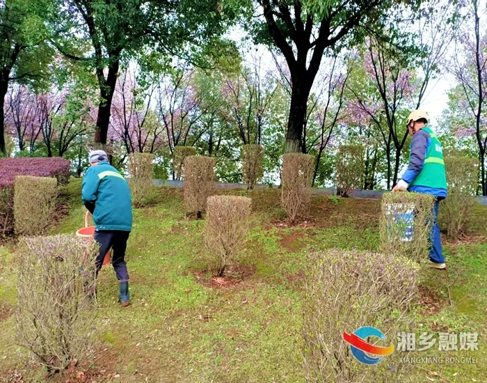 [城管局]抢抓春季好时节 “城市园丁”忙施肥