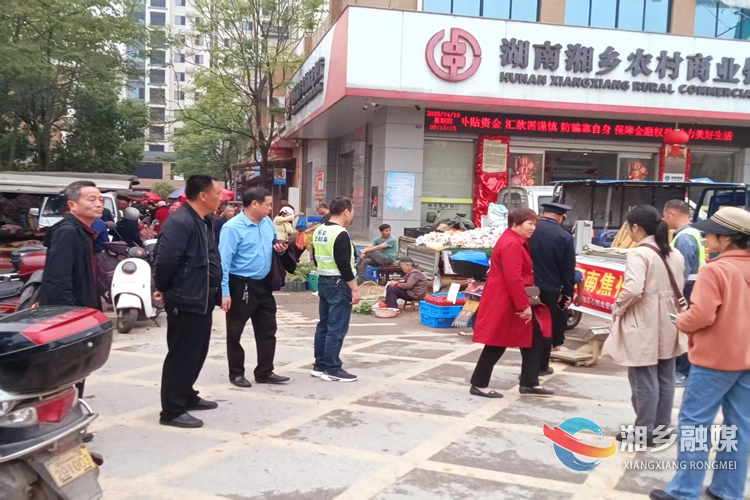 [东郊乡]人大代表实地调研 “把脉”道路交通安全