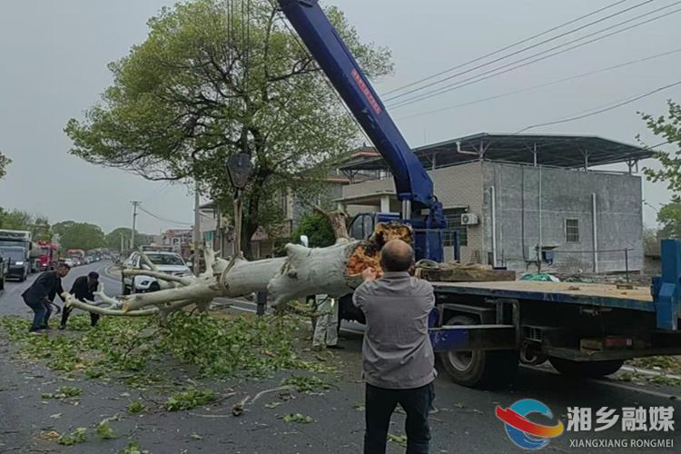 [交通运输局]积极应对大风天气  全力保障公路畅通