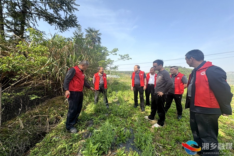 【我爱湘乡我的家】[山枣镇]银发人才下乡来 田间地头传技术