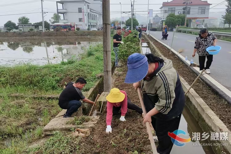 [东郊乡]党群联动绘新景 蔷薇花开促振兴