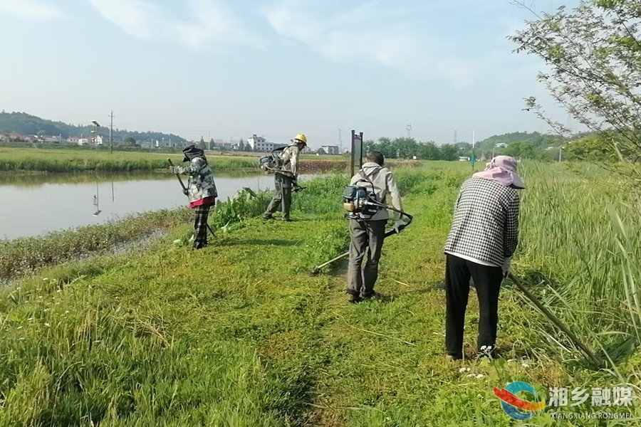 【我爱湘乡我的家】[龙洞镇]河道清淤焕新颜 水清岸绿惠民生