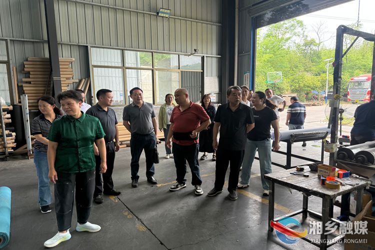 【我爱湘乡我的家】[虞唐镇] 法治护绿  人大代表在行动