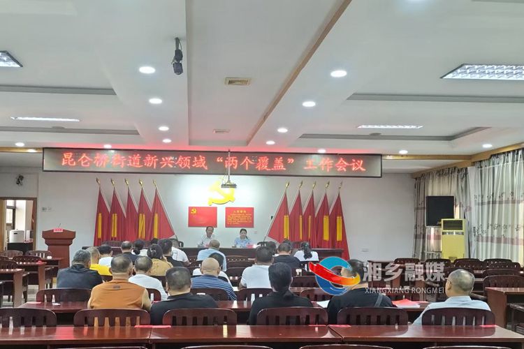 [昆仑桥街道]积极推动新兴领域“两个覆盖” 助力高质量发展