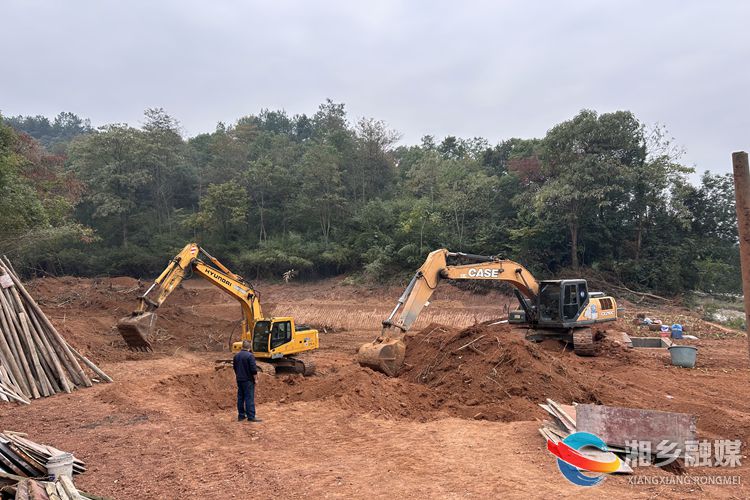 [东山街道]联合执法 护资源守红线