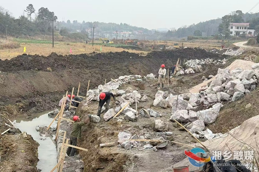 [毛田镇]推进高标准农田建设 筑牢农业发展新“耕”基