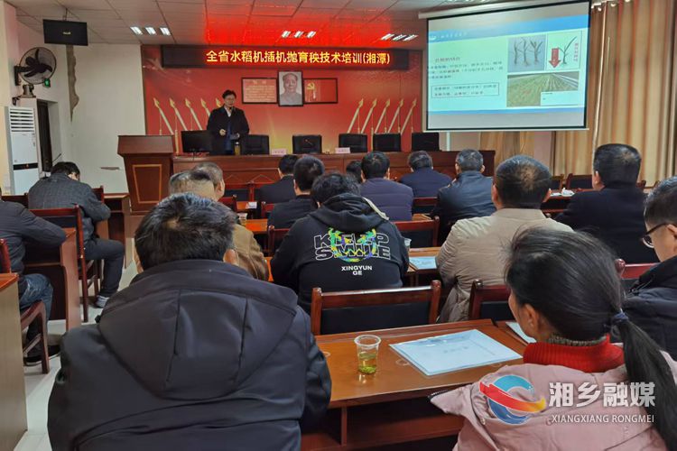 全省水稻机插机抛育秧技术培训在湘乡开班