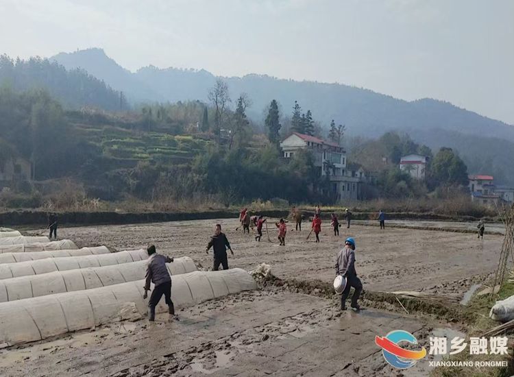 [棋梓镇]抢抓农时育新苗 深耕沃野盼丰收