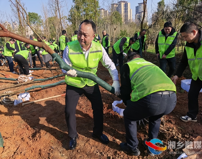 [城管局]植绿添新彩 育苗筑根基