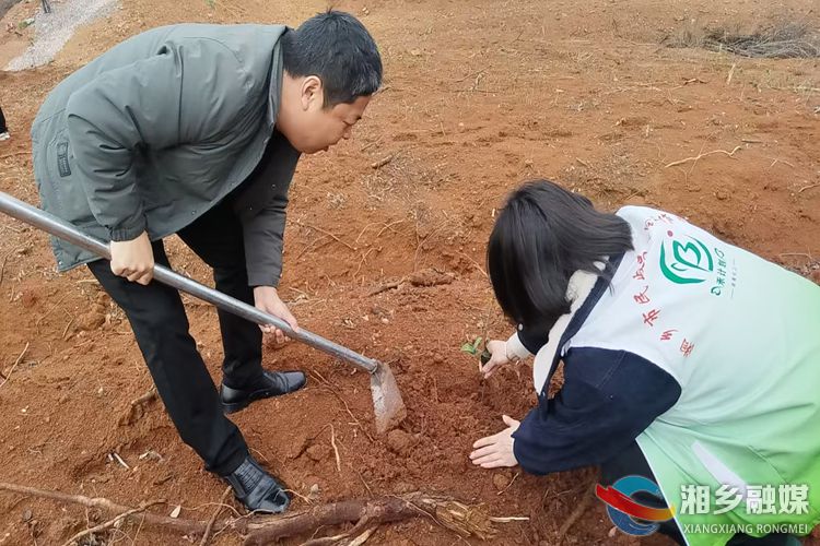 [虞唐镇]春风添新绿  植树正当时