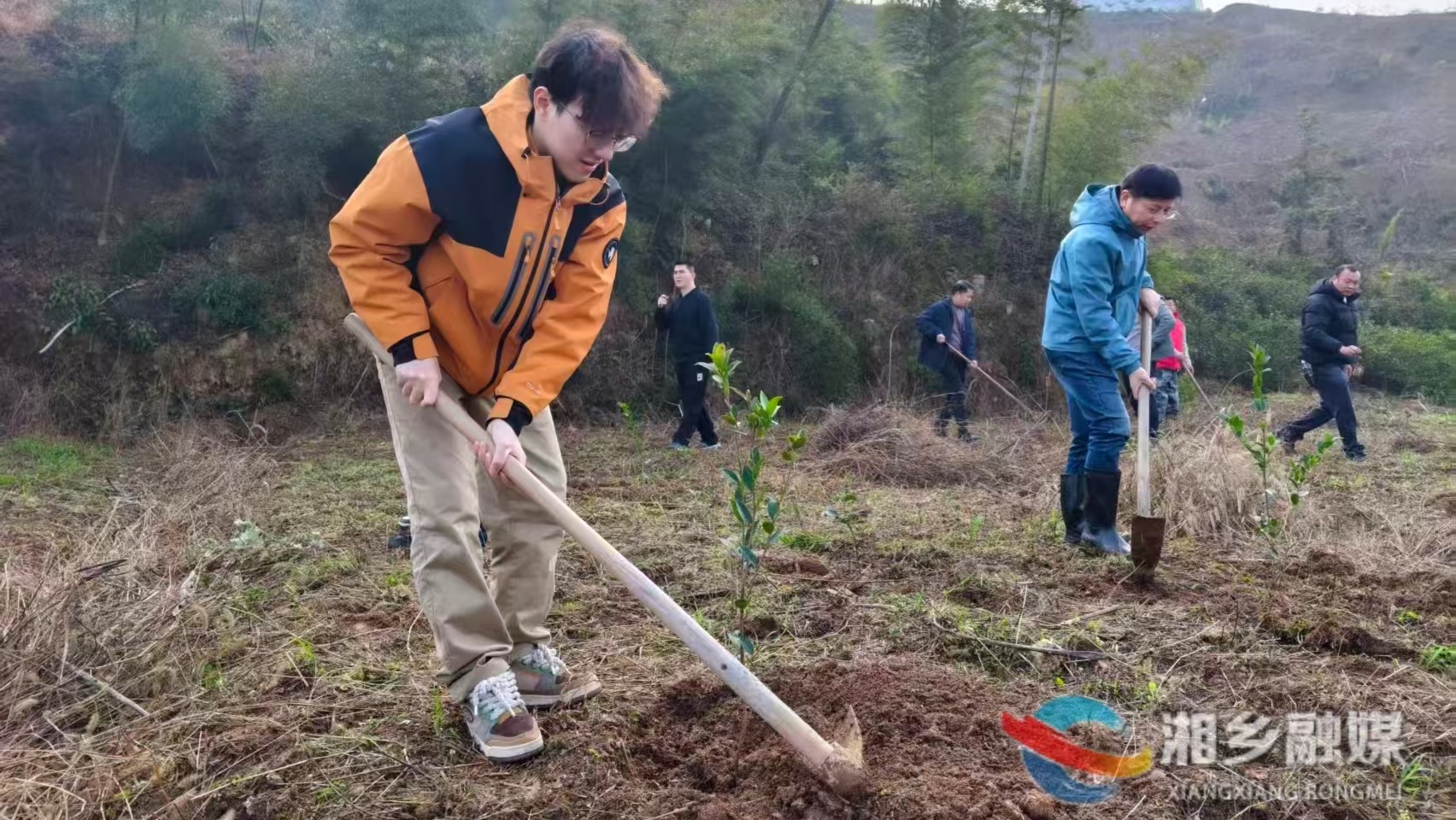 [中沙镇]植油茶新绿  助乡村振兴