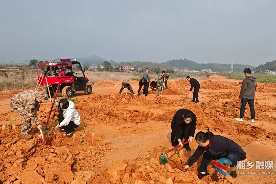 [月山镇]义务植树添新绿 油茶产业促振兴