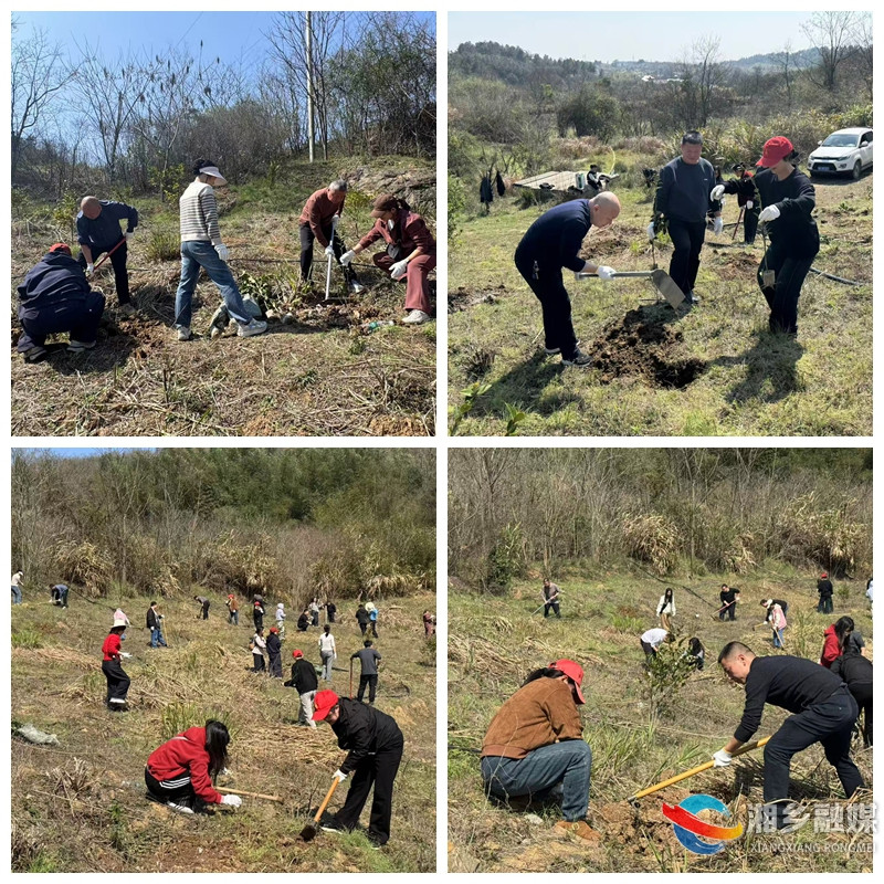 [壶天镇]春日植树添新绿 携手共建美乡村