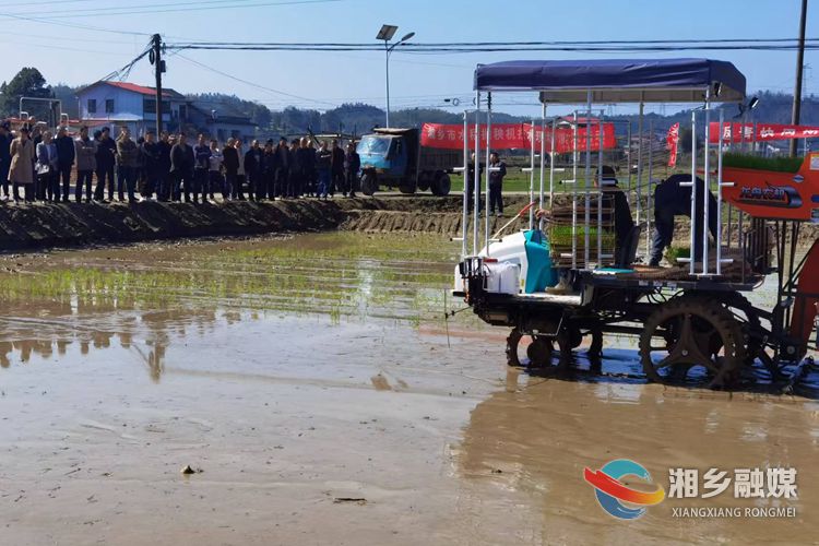 [农业农村局]演示推广新技术 机抛作业促丰收