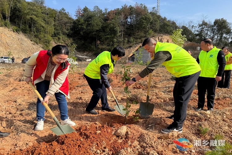 [梅桥镇]干群携手添新绿 植树护绿美家园