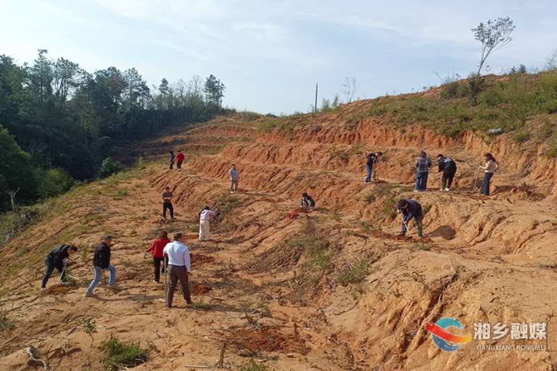 [潭市镇]植此青绿不负春 义务植树添新颜