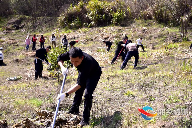 [财政局]义务植树添新绿