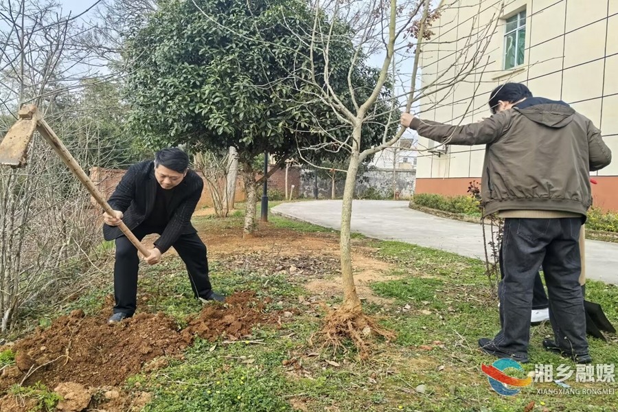 [民政局]植绿践初心 护老筑家园