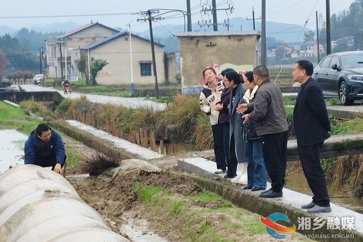 [虞唐镇]护航春耕生产  彰显代表担当