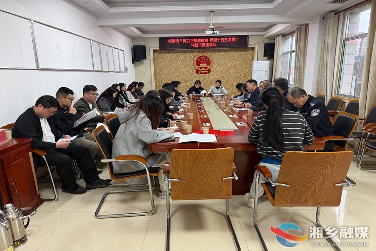 [梅桥镇]汇聚青春力量  共绘发展蓝图