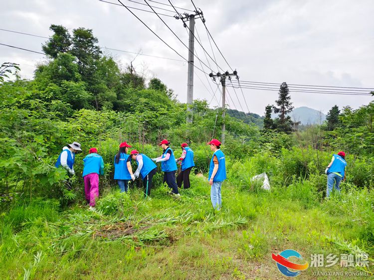 [栗山镇]清除外来入侵物种 守护生物多样性