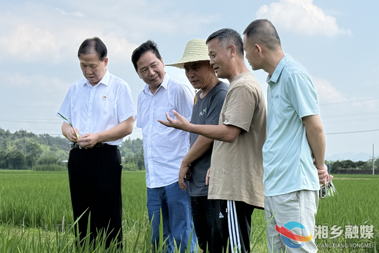省杂交水稻研究中心来湘乡调研指导早稻生产工作