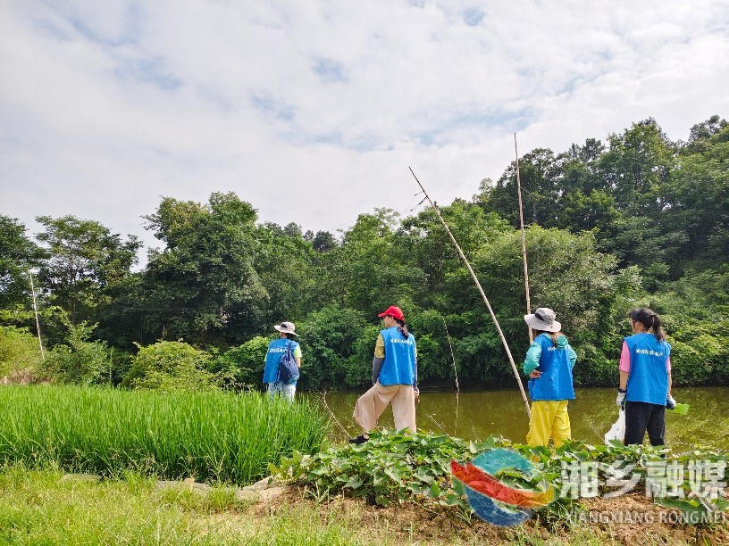 湘乡：民间林长“清网”护飞鸟