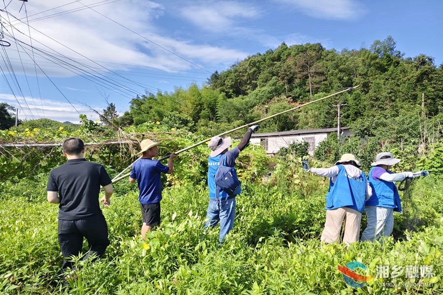 [栗山镇]清网护鸟在行动 织密生态“守护网”