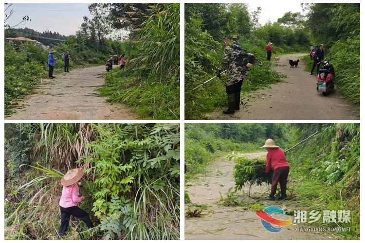 [金石镇]党群齐心除杂草 共建和美新乡村
